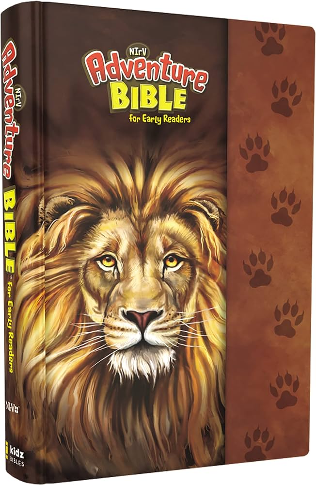 NIrV ADVENTURE BIBLE