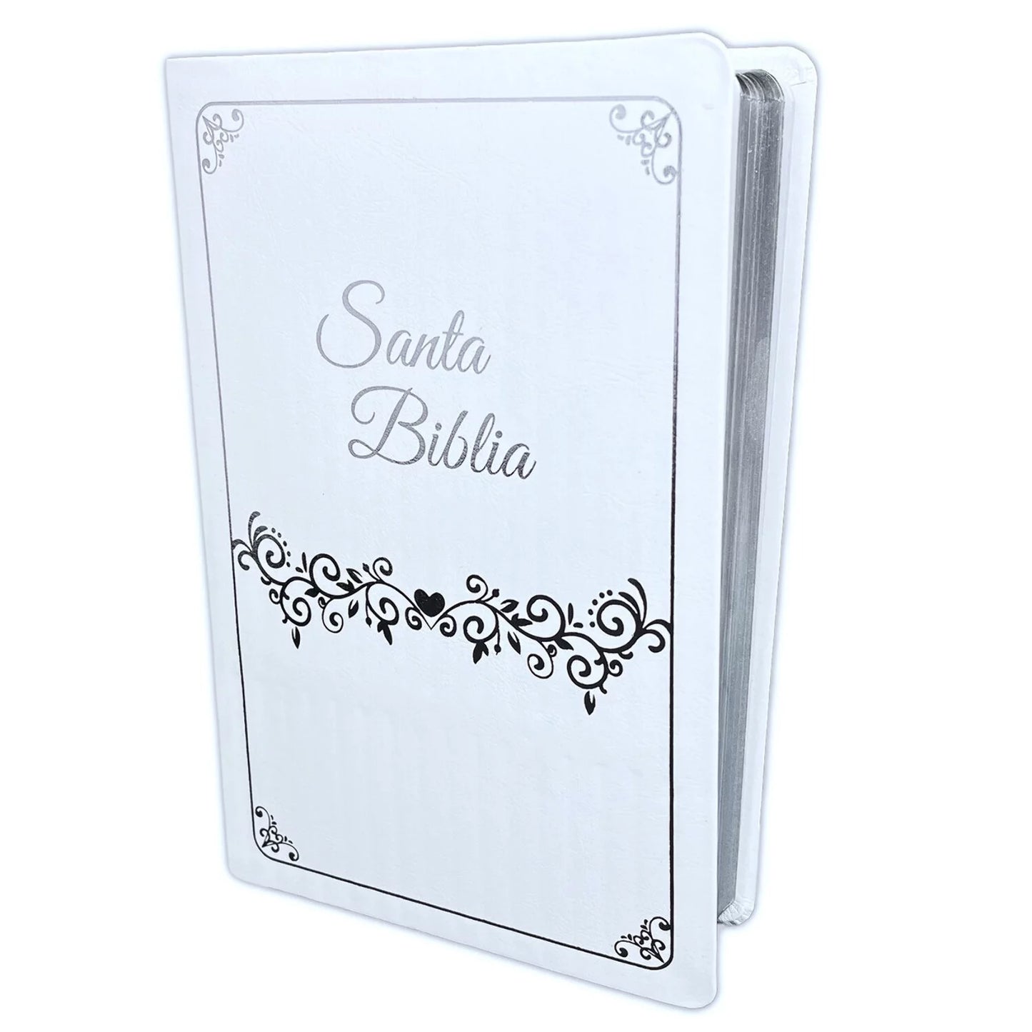 Santa biblia letra gigante 14 pts rv1960 — disponible en La Librería del Evangelio