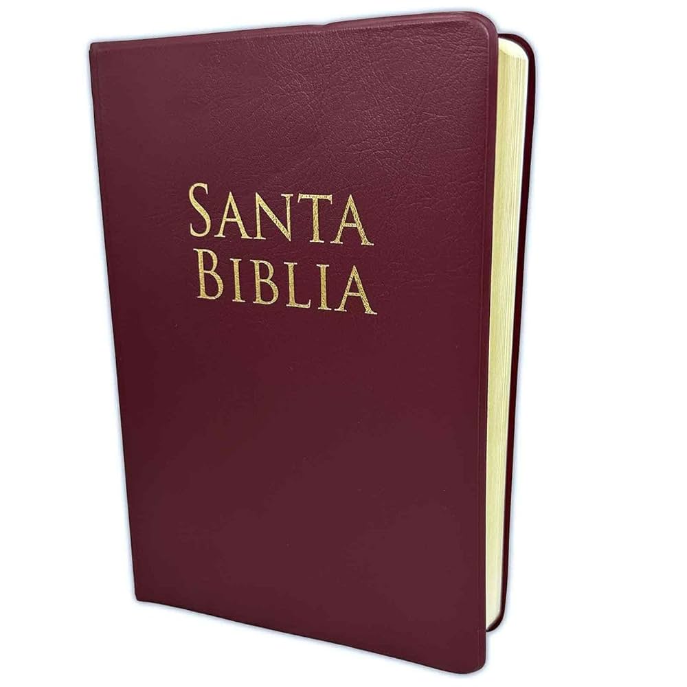 Santa Biblia Reina Valera 1960 Letra Grande tamaño manual