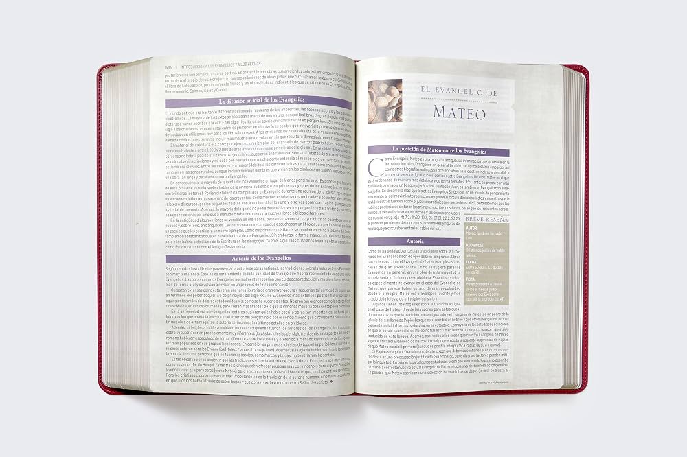 Biblia de Estudio Trasfondo Cultural RVR