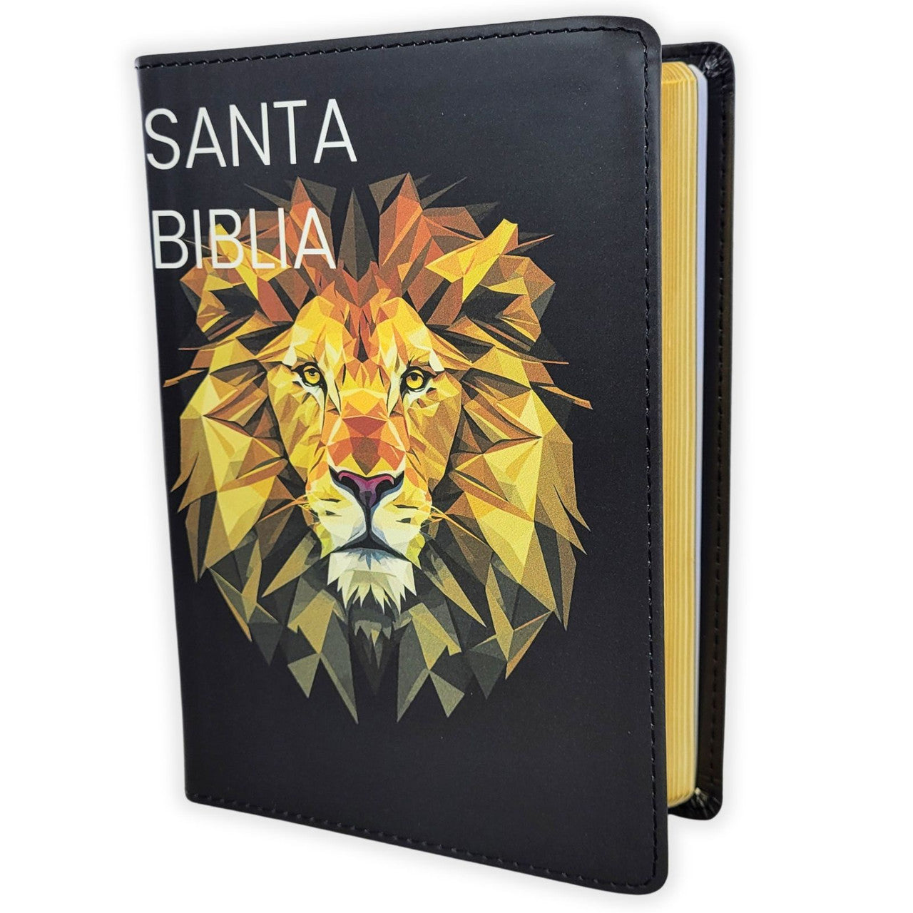Santa Biblia Reina Valera 1960 letra grande tamaño compacta