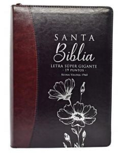 Santa Biblia Reina Valera 1960 Letra Supergigante