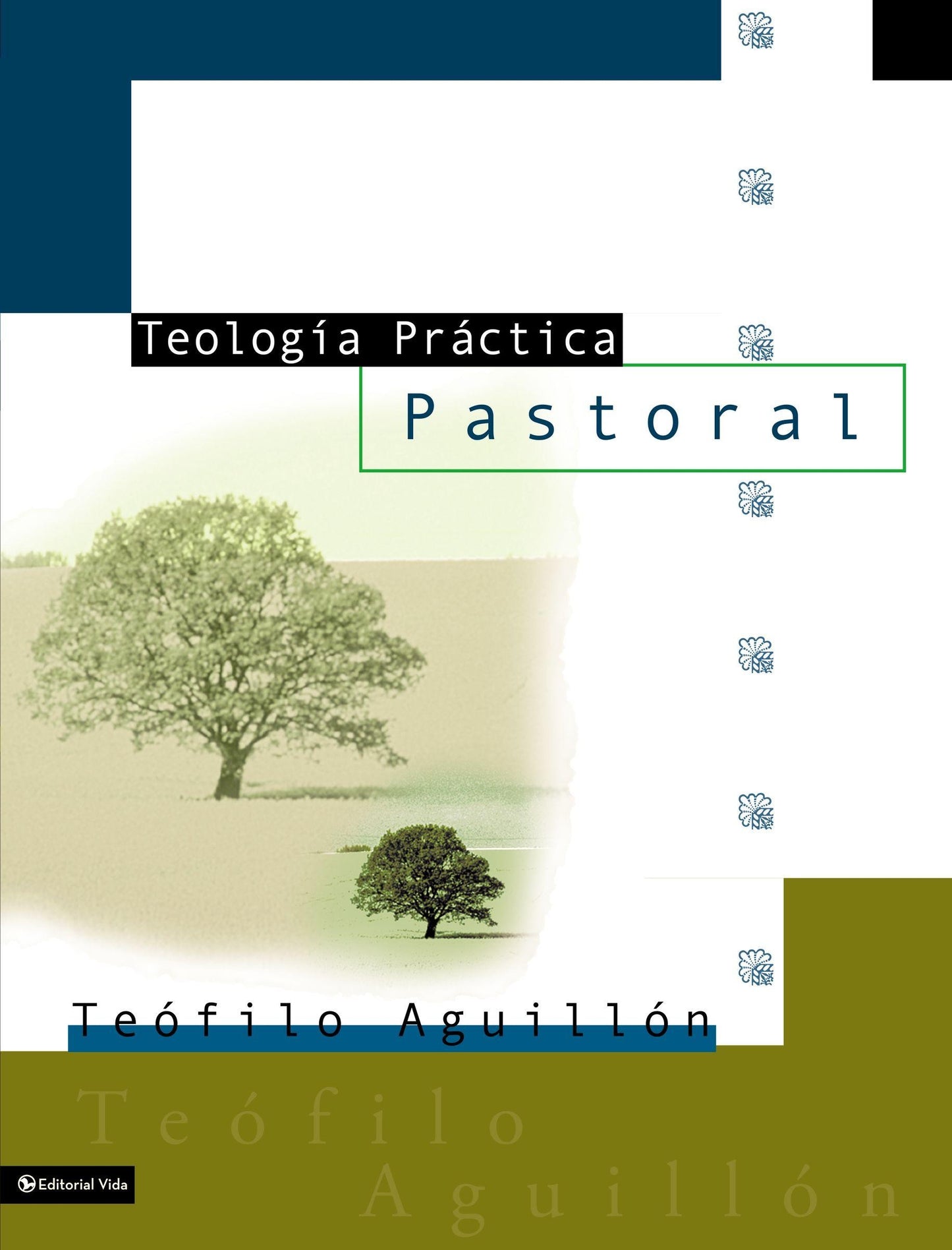 TEOLOGÍA PRÁCTICA PASTORAL, AGUILLÓN, SR. TEOFILO — disponible en La Librería del Evangelio