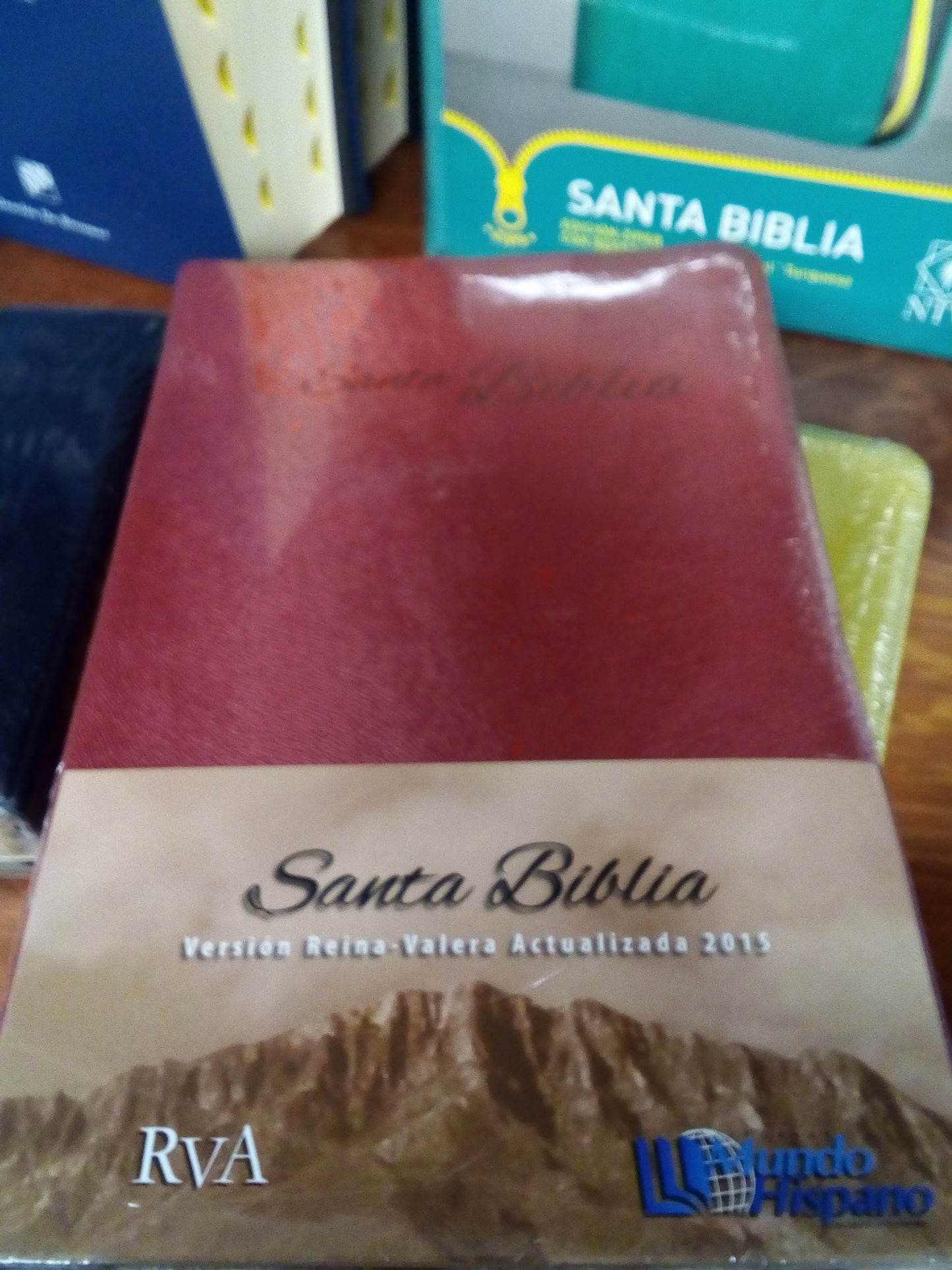 Santa biblia versión reina Valera actualizada