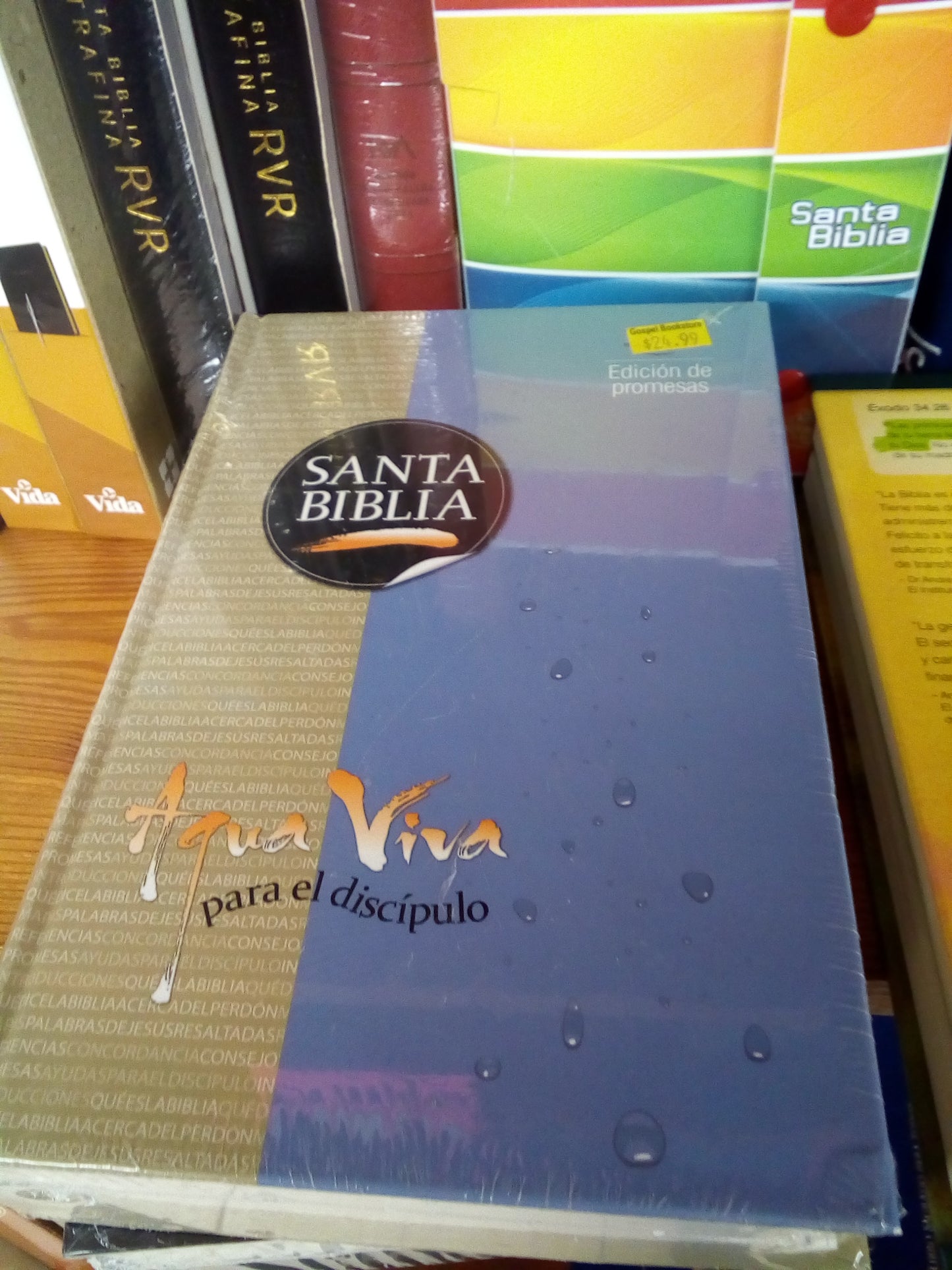 Biblia agua viva