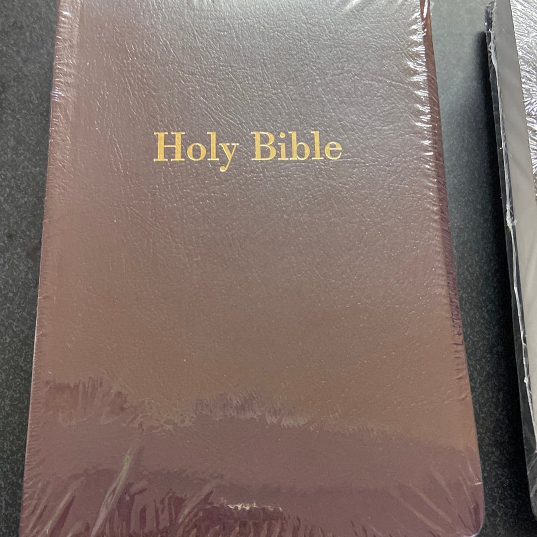 Niv bible