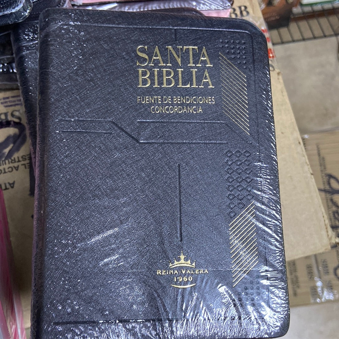 Santa Biblia Fuente de Bendiciones Concordancia reina valera 1960