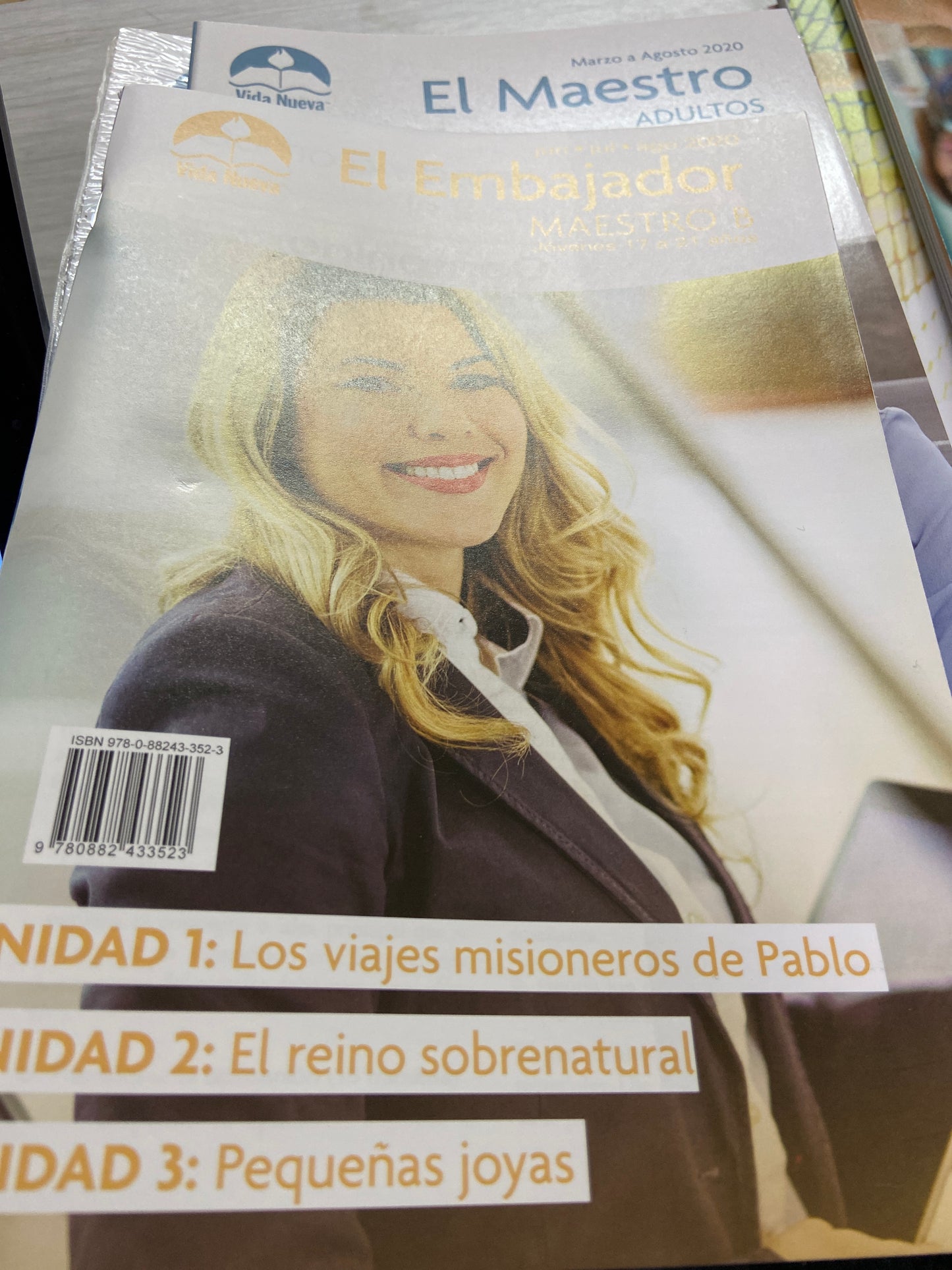 Embajador maestro