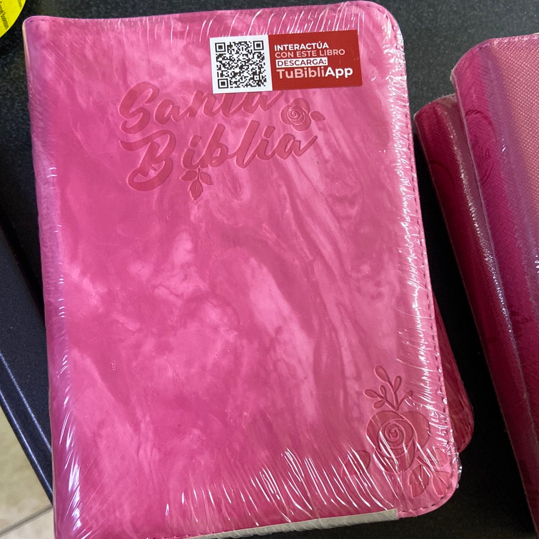 Santa Biblia REINA VALERA 1960