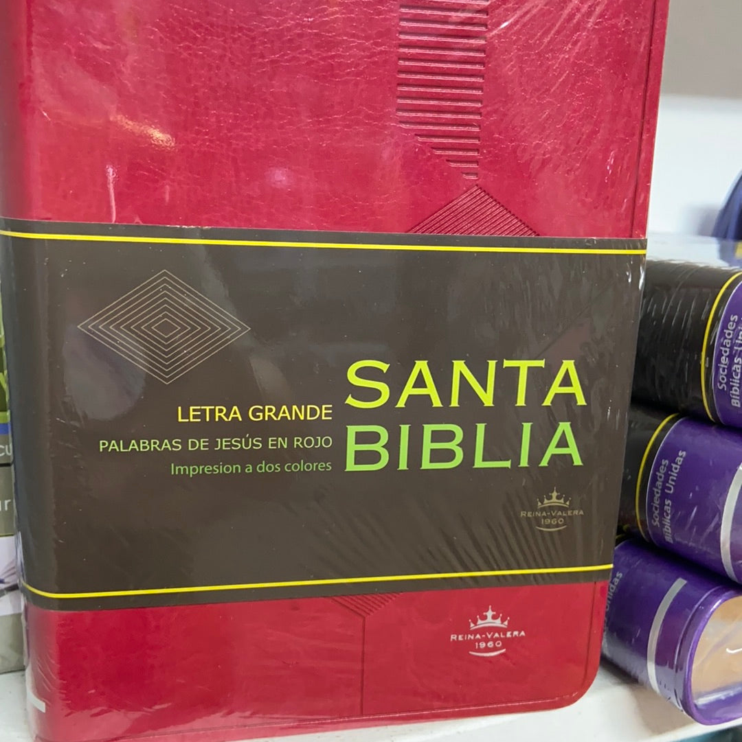 SANTA BIBLIA REINA VALERA LETRA GRANDE PALABRAS DE JESUS EN ROJO