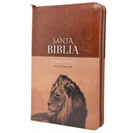 Santa Biblia Reina Valera 1960 Letra Grande