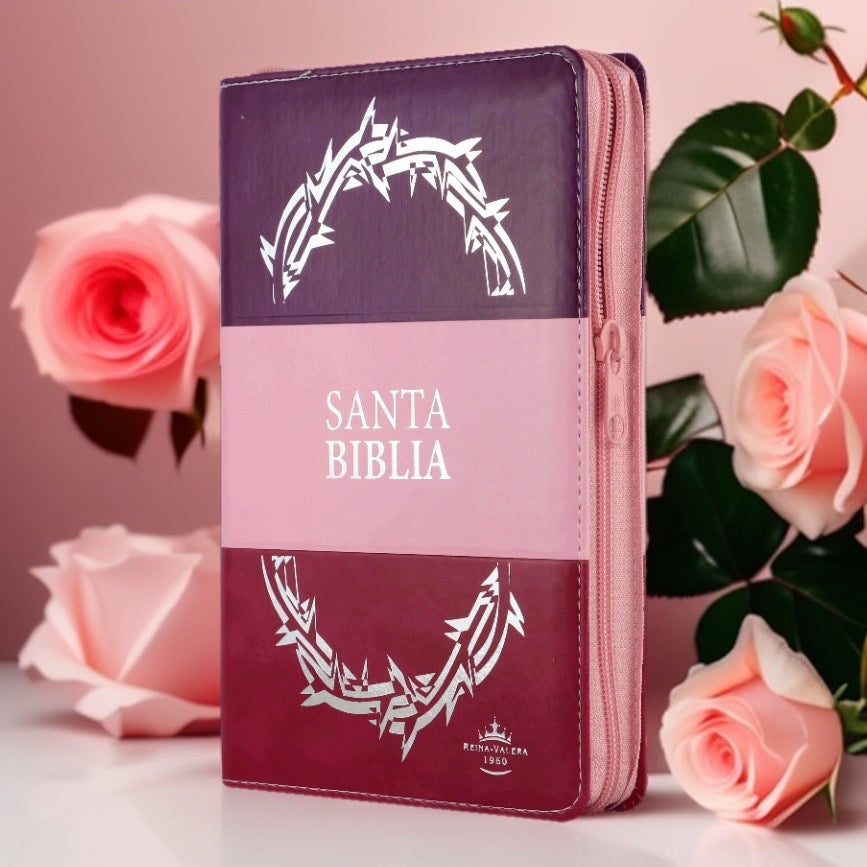 Santa biblia Reina valera 1960 color rosa y morado