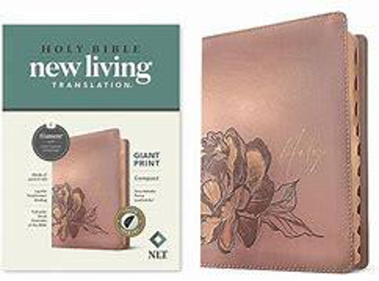 HOLY BIBLE NEW LIVING TRANSLATION GIANT PRINT COMPACT