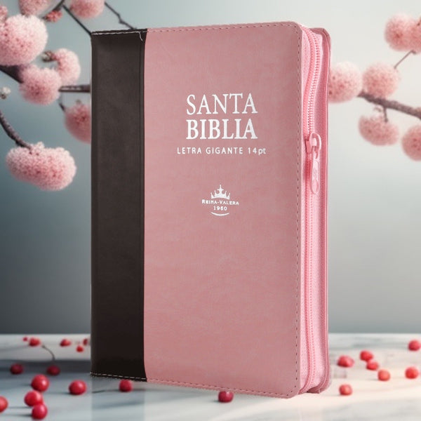 Santa Biblia Letra Gigante Reina Valera 1960