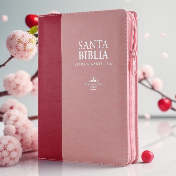 Santa Biblia Letra Gigante Reina Valera 1960