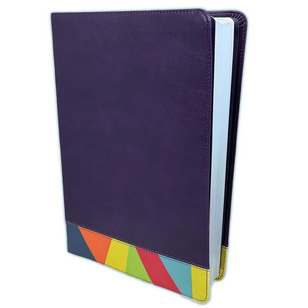 Biblia de Estudio Arcoiris Reina Valera 1960