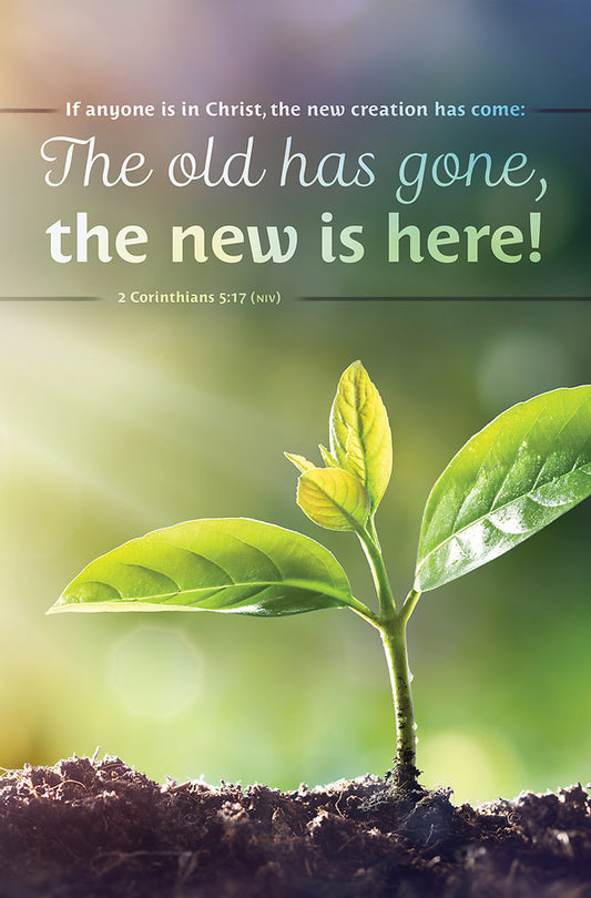 The old has gone, the new is here! 2 corinthians 5:17 (niv) bulletin pkg of 100 — available at The Gospel Bookstore