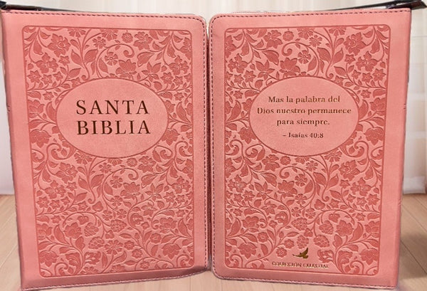 BIBLIA RVR 1960 LETRA GRANDE TAMAÑO MANUAL CON REFERENCIAA