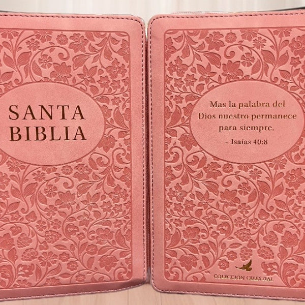 BIBLIA RVR 1960 LETRA GRANDE TAMAÑO MANUAL CON REFERENCIAA