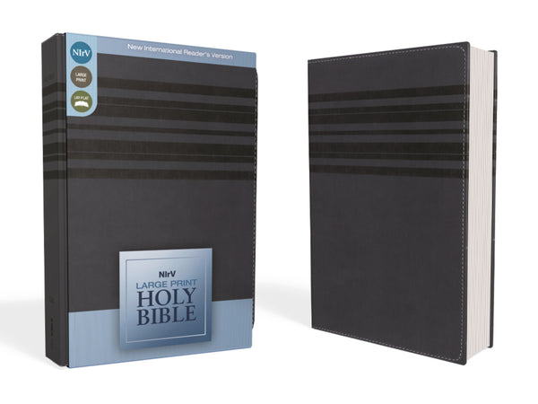 NIrV Large Print Holy Bible - cover