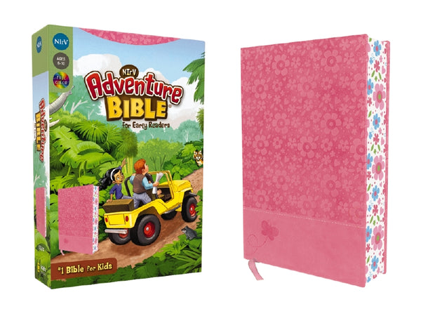NIrV Adventure Bible - cover