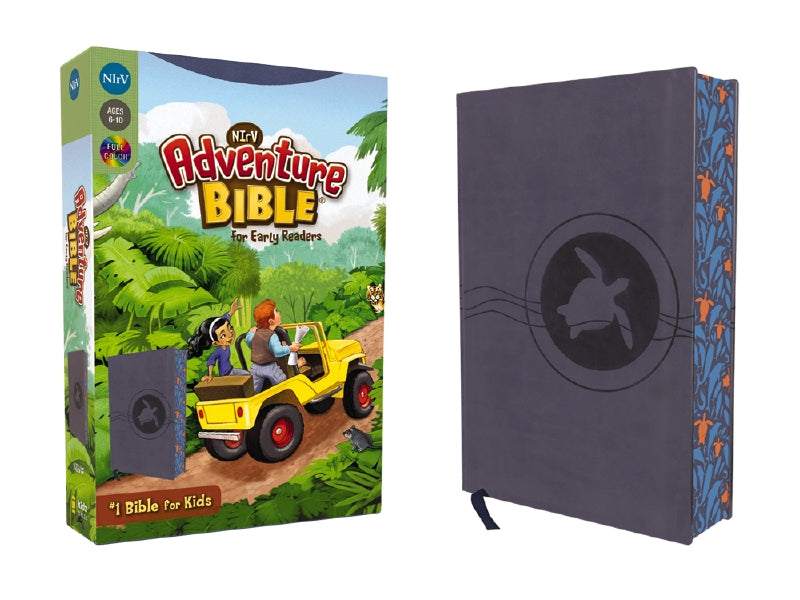 NIrV Adventure Bible - cover