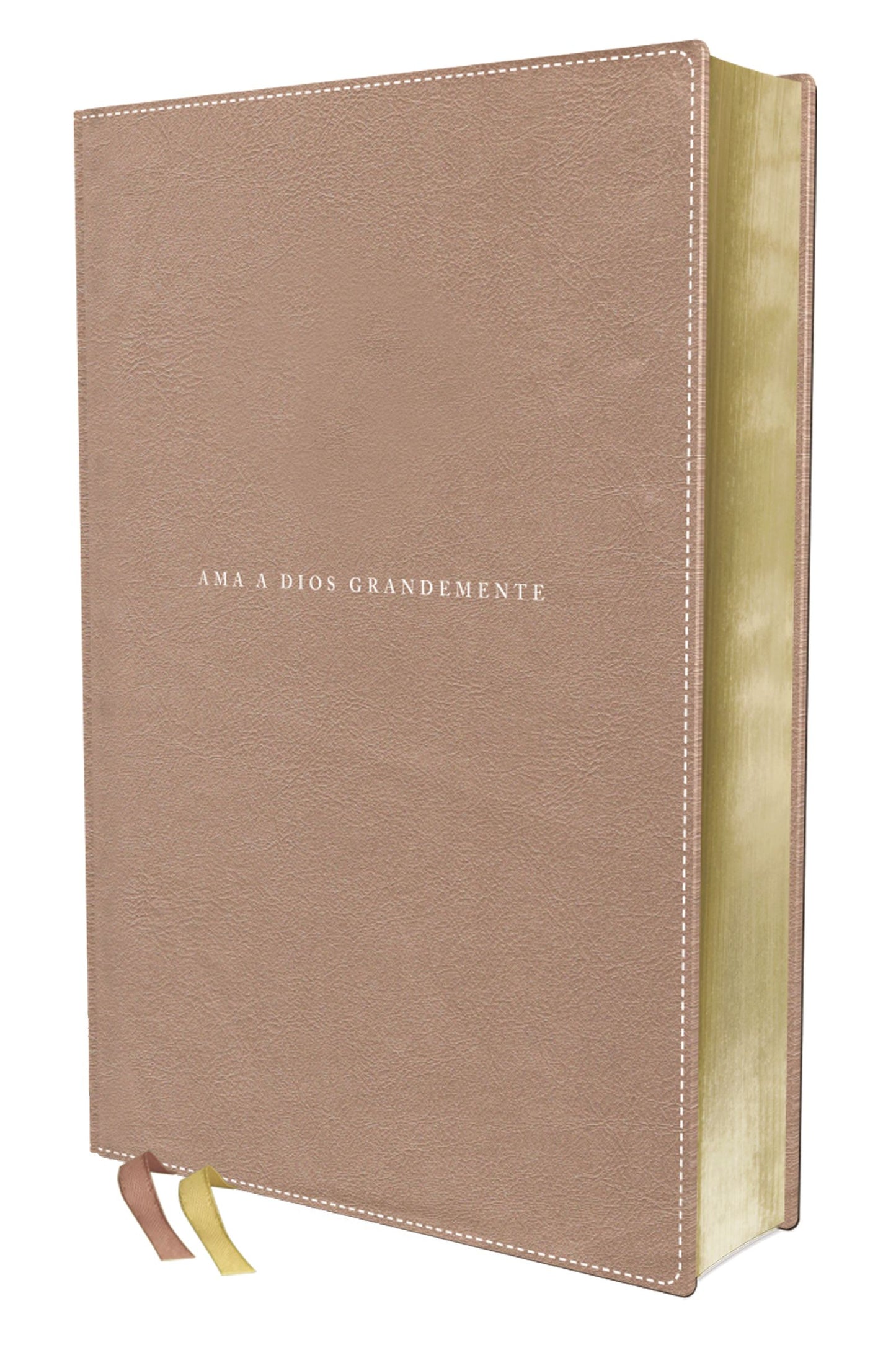 Biblia Ama a Dios Grandemente Nueva Biblia de las Americas - cover