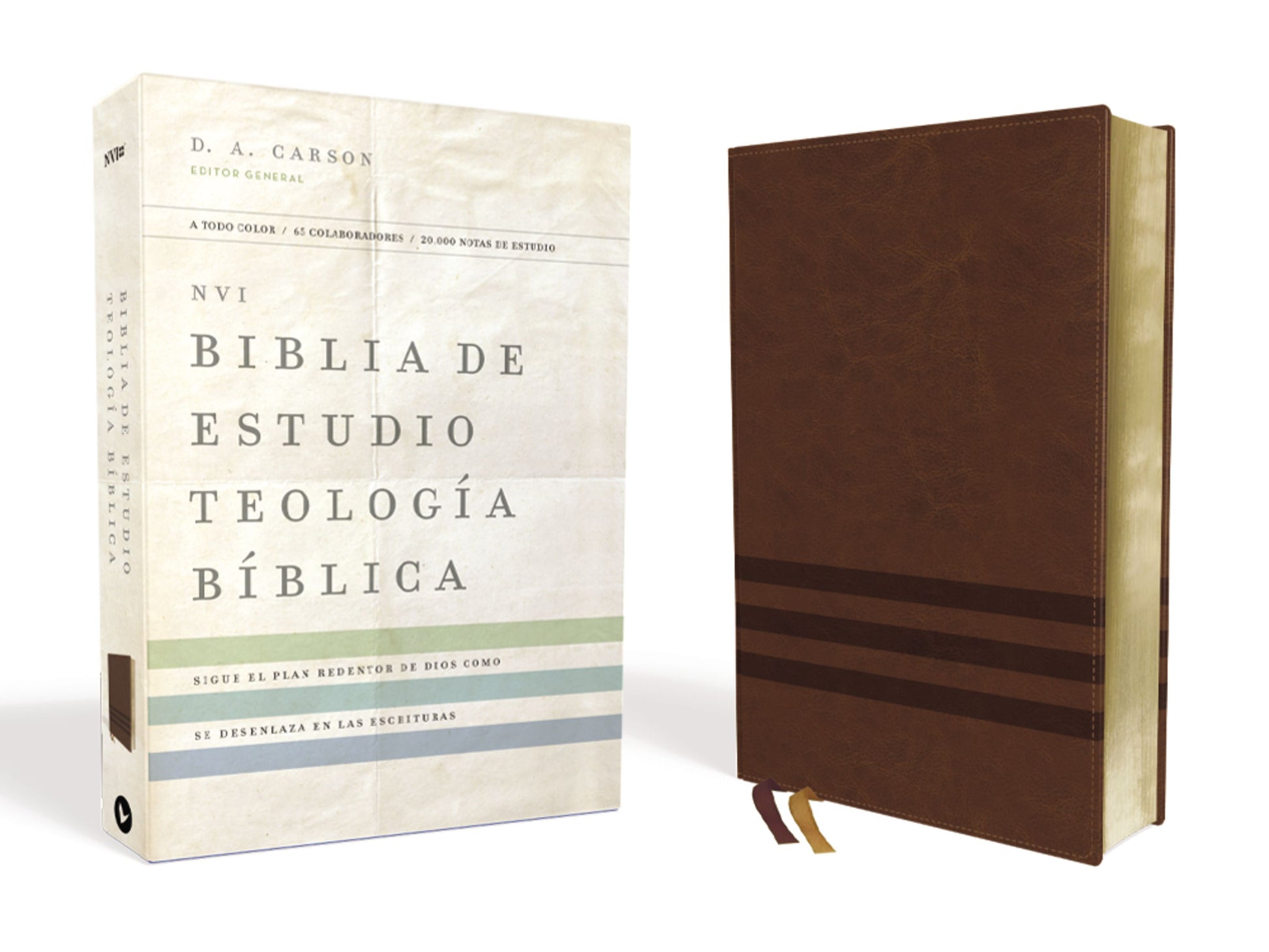 Biblia De Estudio Teología Bíblica (Nueva Version Internacional) - cover