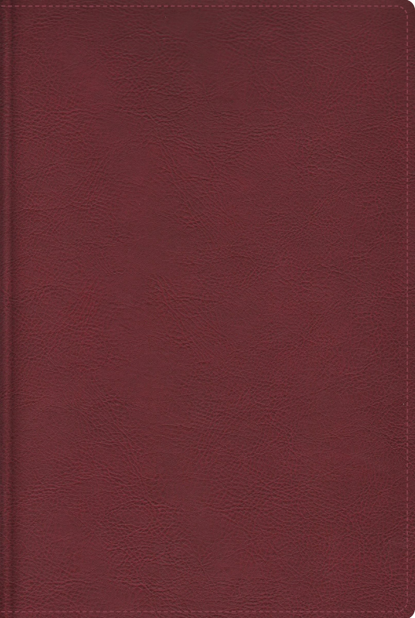 Biblia De Estudio Trasfondo Cultural RVR - cover