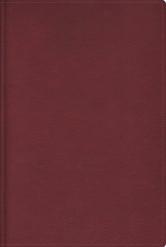 Biblia De Estudio Trasfondo Cultural RVR - cover