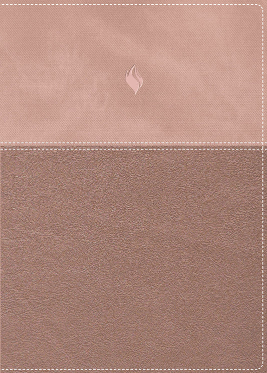 Biblia de Estudio Vida Plena Reina Valera 1960 - cover