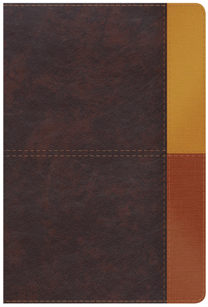 BIBLIA DE ESTUDIO ARCOIRIS REINA VALERA 1960 - cover