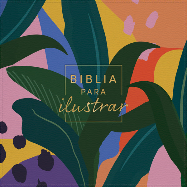 Biblia para ilustrar Reina Valera 1960 - cover