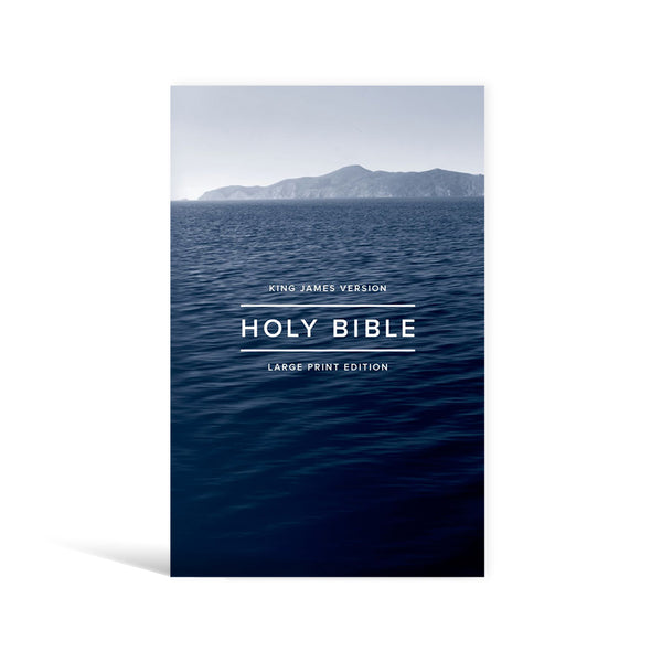 KING JAMES VERSION HOLY BIBLE LARGE PRINT (paperback) - cover
