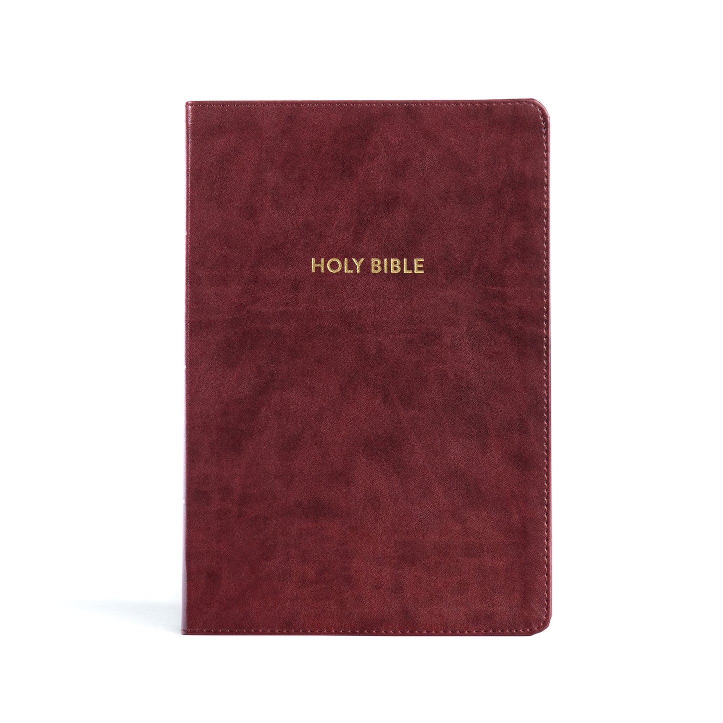 Rainbow Study Bible KJV - cover