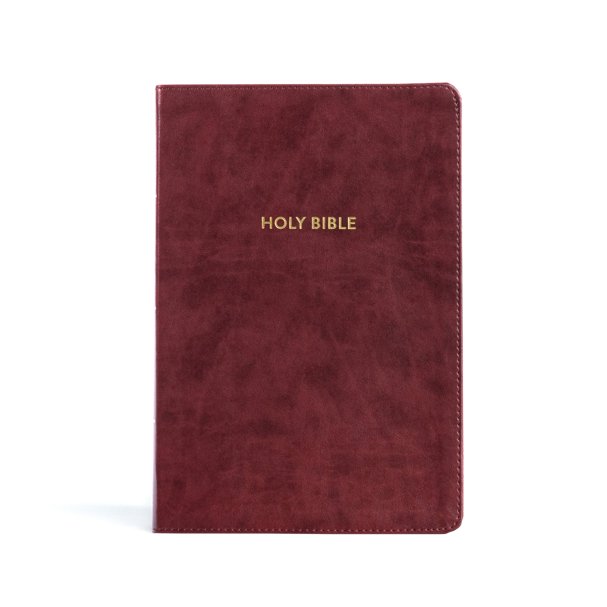 Rainbow Study Bible KJV - cover
