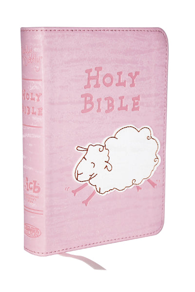 Holy Bible (International Children's Bible) - cover