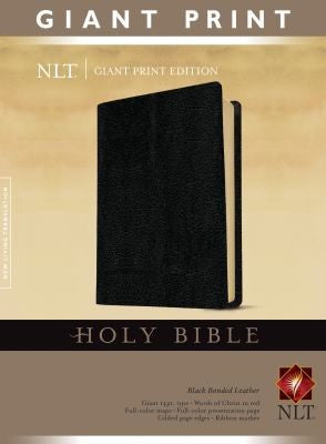 Holy Bible New Living Translation Giant Print book cover