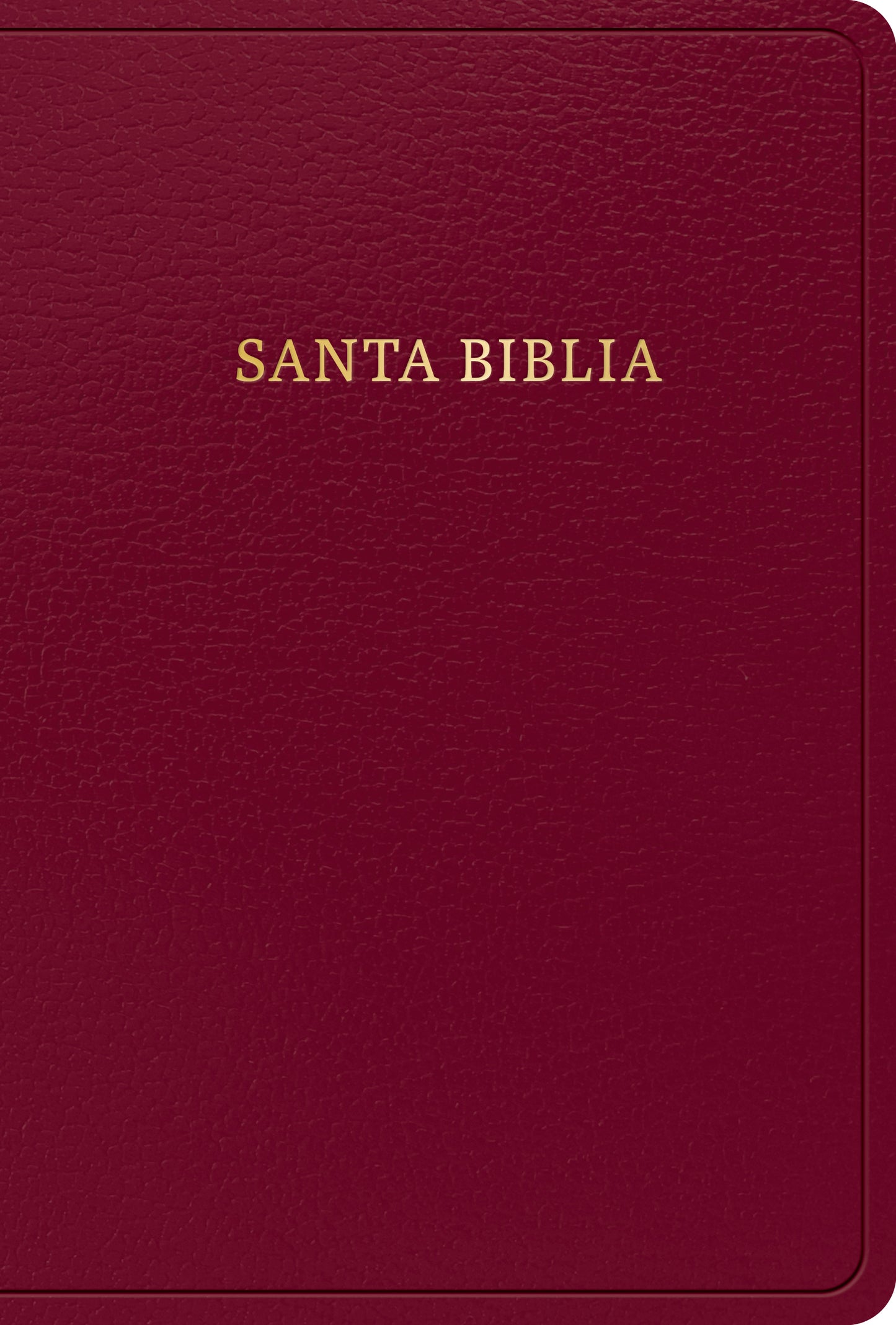Biblia Letra Grande Tamaño Manual Reina Valera 1960 - cover