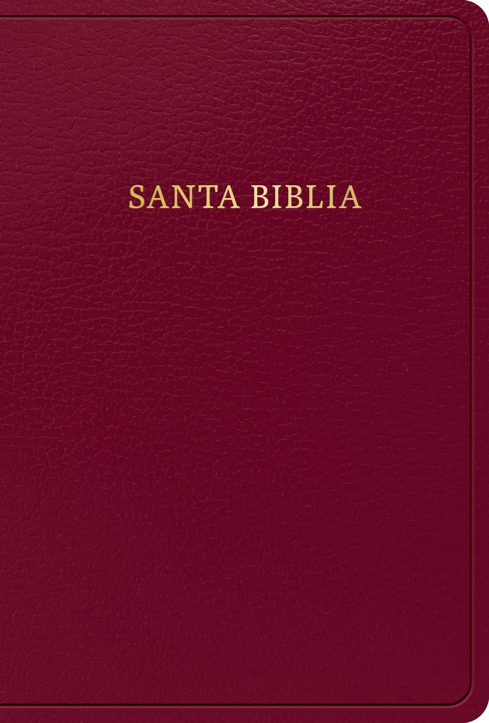 Biblia Letra Grande Tamaño Manual Reina Valera 1960 - cover