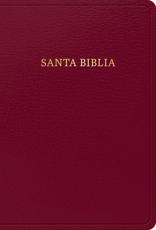 Biblia Letra Grande Tamaño Manual Reina Valera 1960 - cover