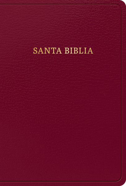 Biblia Letra Grande Tamaño Manual Reina Valera 1960 - cover