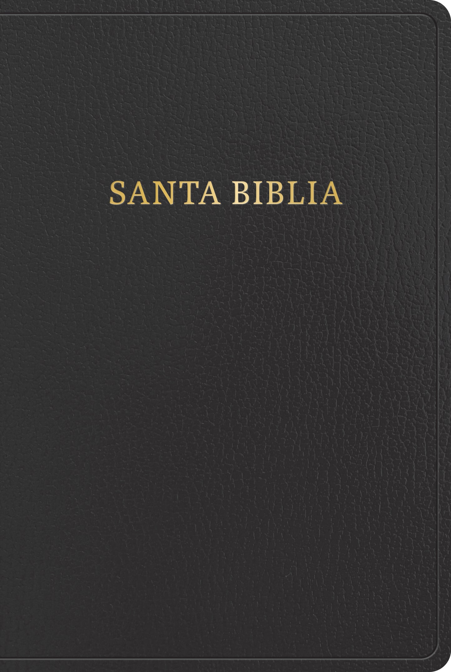 BIBLIA LETRA GIGANTE REINA VALERA 1960 - cover