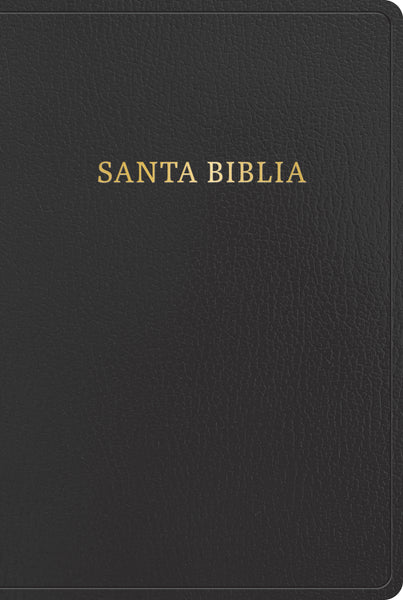 BIBLIA LETRA GIGANTE REINA VALERA 1960 - cover