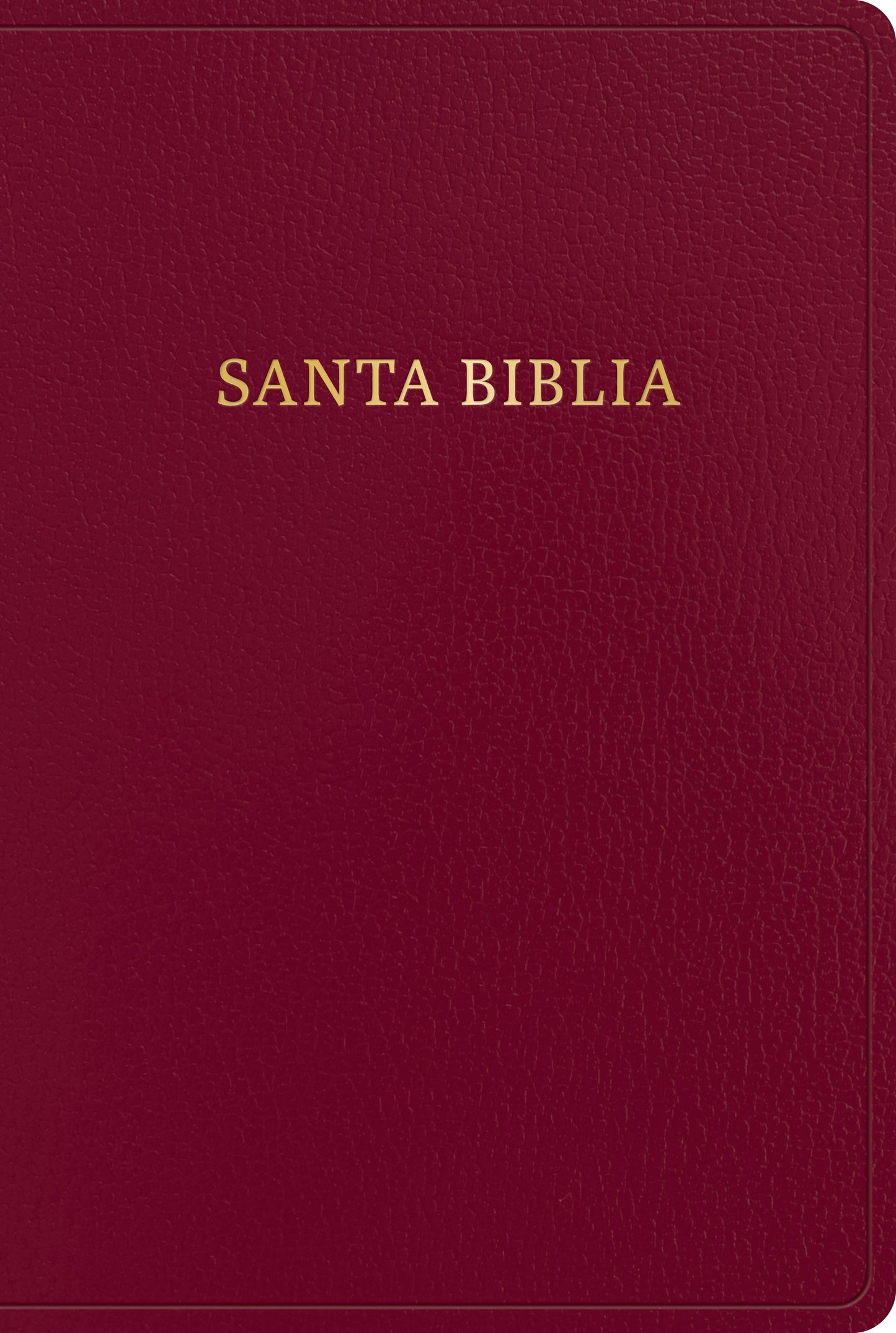 BIBLIA LETRA GIGANTE REINA VALERA 1960 - cover