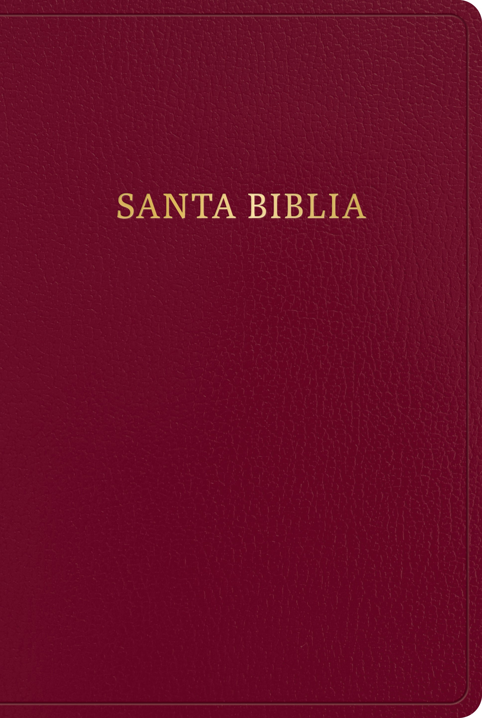 BIBLIA LETRA GIGANTE REINA VALERA 1960 - cover