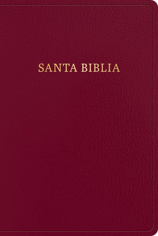 BIBLIA LETRA GIGANTE REINA VALERA 1960 - cover