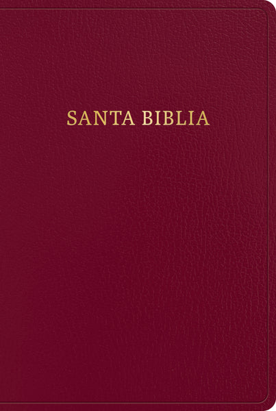 BIBLIA LETRA GIGANTE REINA VALERA 1960 - cover