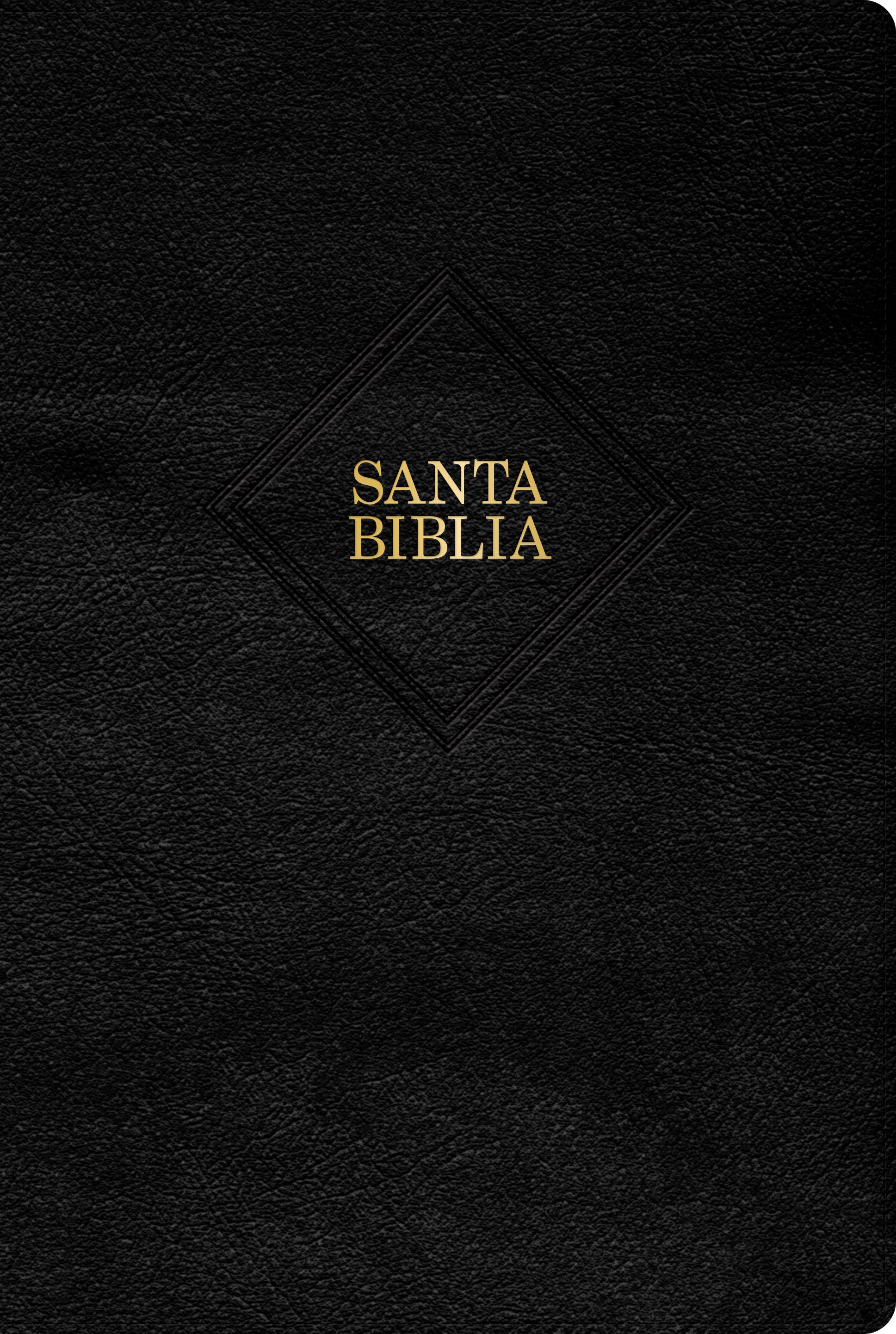 Biblia Reina Valera 1960 Letra Gigante - cover