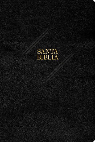 Biblia Reina Valera 1960 Letra Gigante - cover